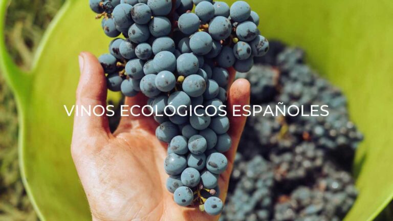 Vinos ecológicos españoles