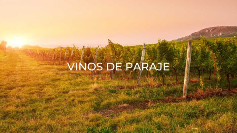 Vinos de Paraje