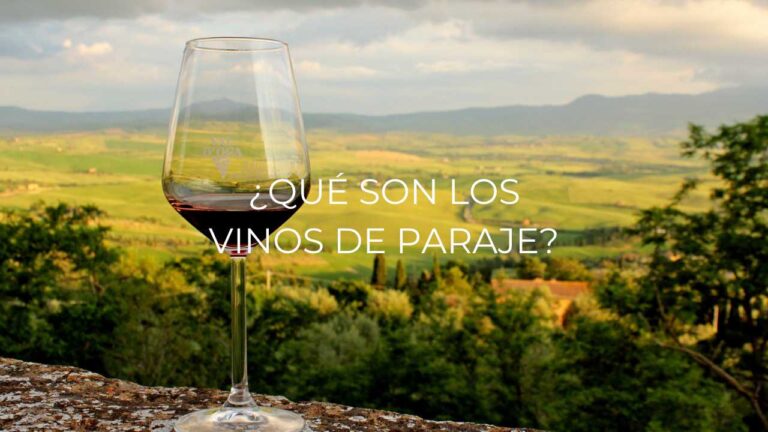 ¿Qué son los vinos de Paraje?