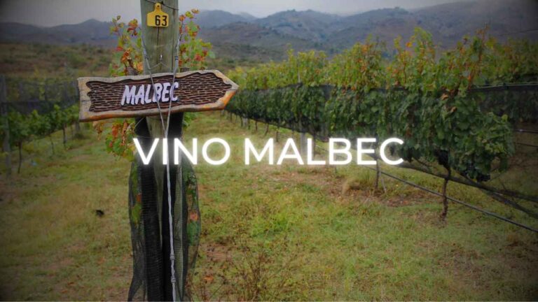 ¿Qué significa que un vino sea Malbec?
