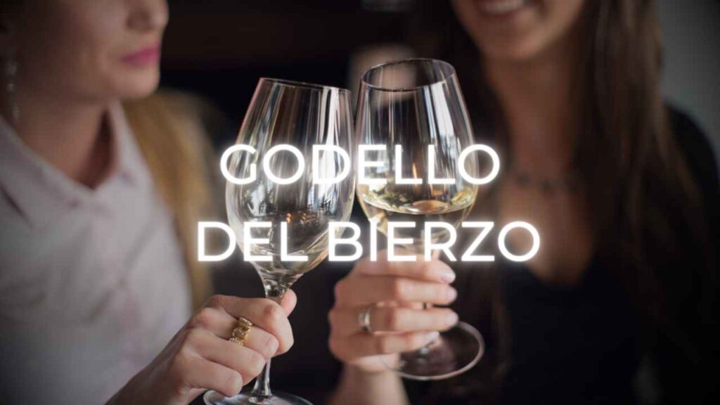 El formidable carácter del Godello del Bierzo se plasma en el vino que produce