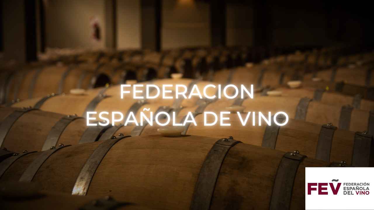 Federacion española del vino