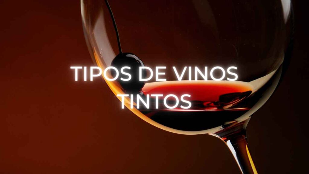 Tipos de vinos tintos españoles